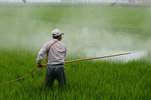 Ассоциации «Теплицы России»: Отсутствие контроля за пестицидами – реальная проблема для России