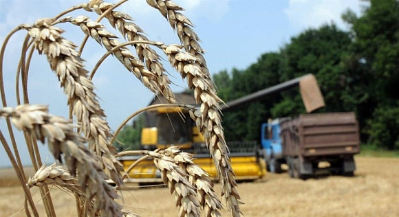 Дмитрий Патрушев обсудил «точки роста» экспорта продукции АПК с ключевыми аграрными и товаропроводящими регионами